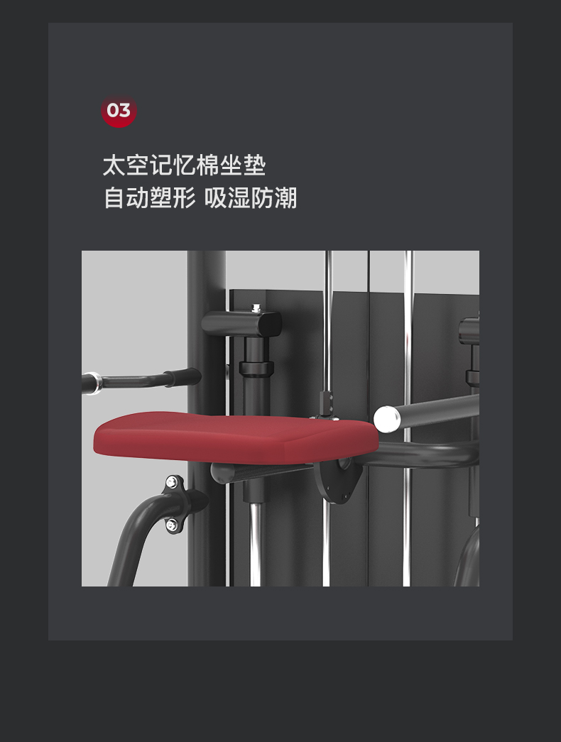 美国蜜柚官网在线下载-J-6019辅助单双杆训练器(图9)